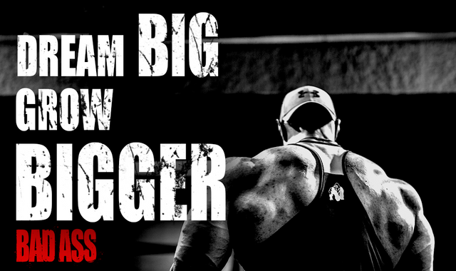 Mass Gainer